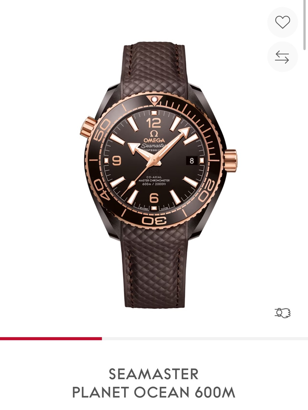 Omega Men's Seamaster Planet Ocean 600mm